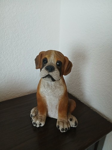 Zauberhafte boxerfigur - zauberhafte,