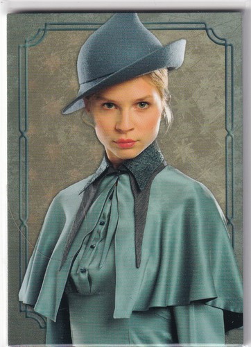 Panini harry potter evolution - panini,