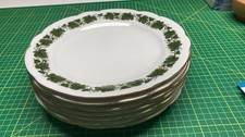 Triptis Weinlaub Porzellan -  7 x Speiseteller (Breite 24 cm)      guter Zustand