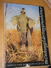 Im Dschungel der Panzernashörner Ullrich, Ursula/Ullrich, Wolfgang