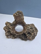 Fossil Eiszeit Bison Knochen