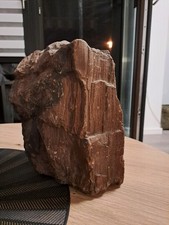 ✨ Verkieseltes Holz / Feenholz 5,7 kg mit schöner Holzstruktur & Glitzereffekt ✨
