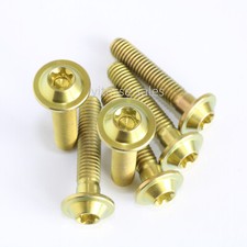 M6 x 30 mm Schrauben Titan