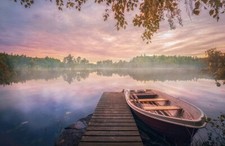 Fototapete-VLIES-WALD