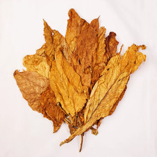 Virginia Bulgarian-Tonga