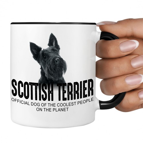 Scottish terrier scottie - terrier,