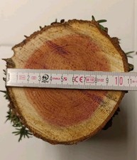 Eibe Eibenholz Stammabschnitt Holz zum Drechseln Basteln 