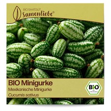 BIO Gurken Samen Mexikanische Minigurke Gemüse-Samen Saatgut Gurkensamen