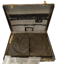 Schieferplatte Fossil Schnecke im Koffer (LS-386) *