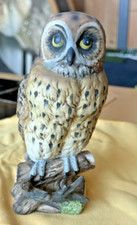 Eule Royal Meridian 17 cm –