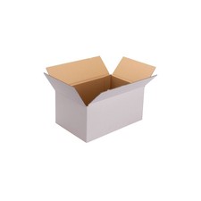 Versandkarton 300 x 200 x 150