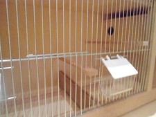 Zuchtbox mit