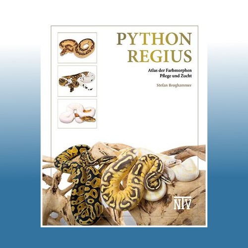 Python regius stefan - python, |