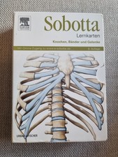 Sobotta Lernkarten Knochen