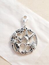 Großes Kolibri Medaillon ♥ Schmuckherstellung Basteln Deko Charms Rund Silber