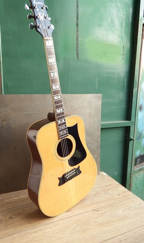 Akustikgitarre selten ibanez - selten,