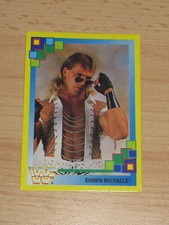 Merlin Collections Nummer 19 Shawn Michaels Sammelkarten WWF WWE Wrestling 1993