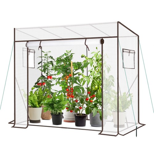 Tomatengewächshaus - , xl