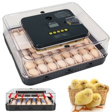 56 Eier Brutmaschine