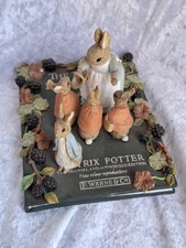 Beatrix Potter The Tale Of