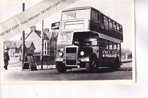 Eastern national leyland - leyland, /