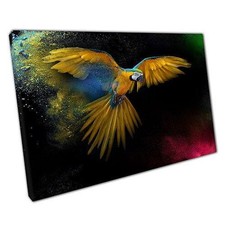 Lebendige Papagei Leinwand