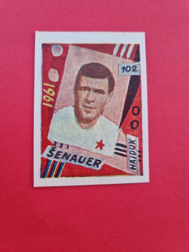 Vladimir senauer hajduk - senauer, (hajduk