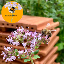 Strangfalzziegel Bienenstein