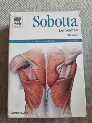 Sobotta lernkarten muskeln - muskeln, 6