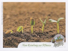 Globus Sticker Wertvolle Erde