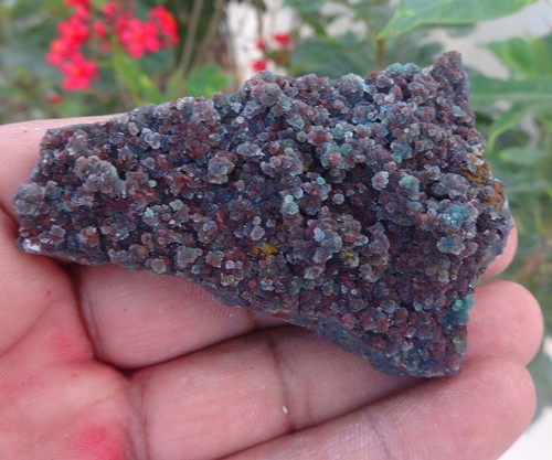 Marshy chalcedony bälle - chalcedony,