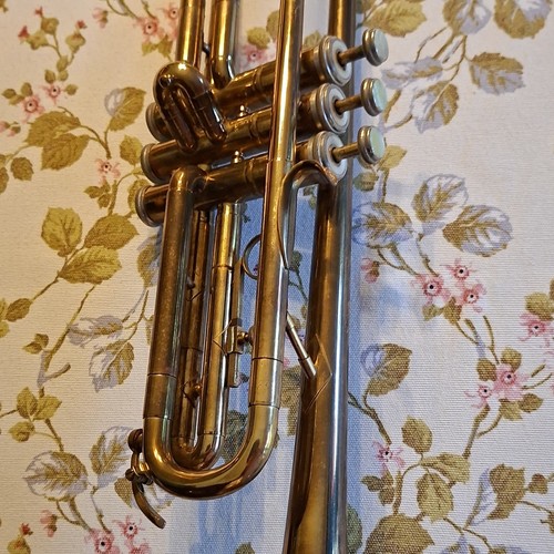 Roy benson trompete standard - roy,