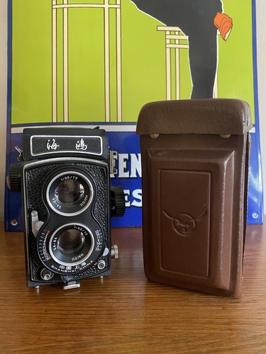 Seagull tlr 6x6 - seagull,