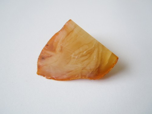 Bernstein amber butterscotch - amber,