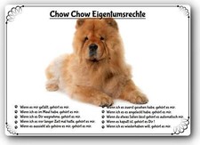 Warnschild - 20x30cm -