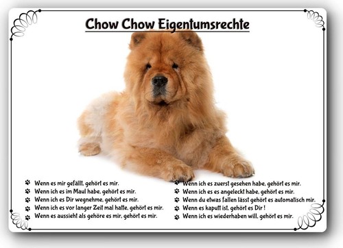 Warnschild 20x30cm - 20x30cm,