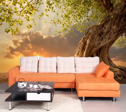 Sonne wolke baum - sonne, q6155