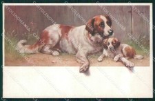 Reichert Saint Bernard Dog MM