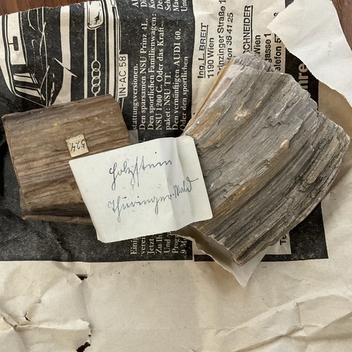 Konvolut verkieseltes holz - konvolut,