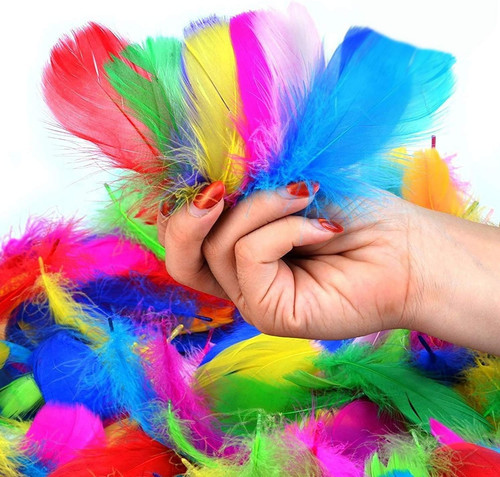 Bunte federn 300 - bunte,