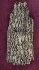 Große Baumrinde - Deko - Floristik - Basteln - Naturmaterial Rinde ca 55 cm