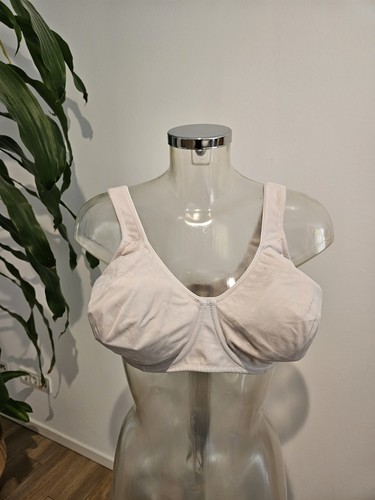 Rosa faia bügel - rosa,