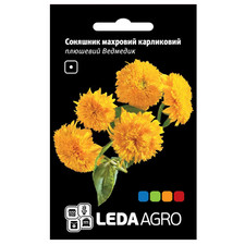 Zwerg-Sonnenblume Plüschbär, gefüllt, 1 g