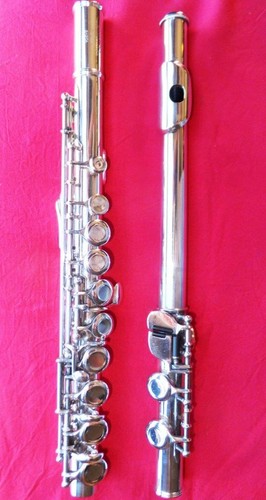 Mollenhauer fischer - mollenhauer,