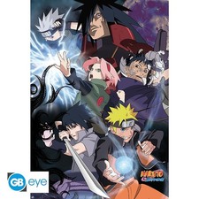 Naruto Shippuden - Group Ninja