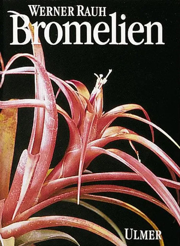 Bromelien tillandsien und - |,