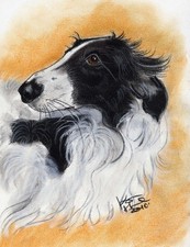 Windhund * Levrier  * Barsoi