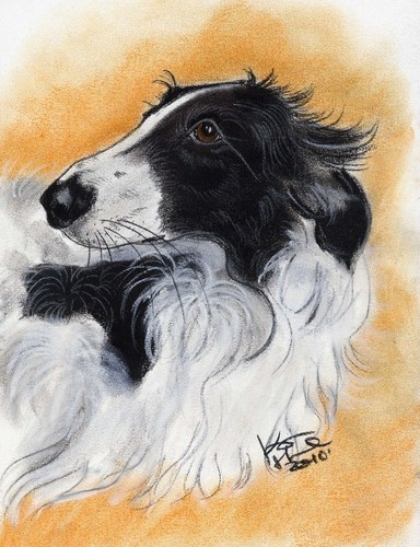 Windhund levrier barsoi - windhund, *