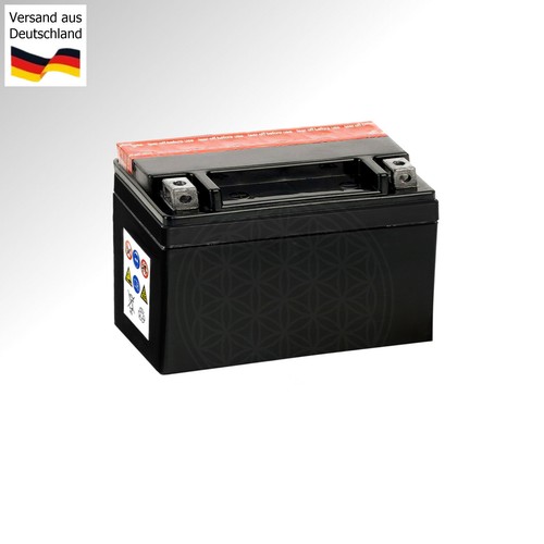 Agm batterie für rex chopper - agm,