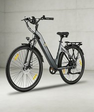 28 Zoll E-Bike 250W